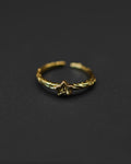 Polaris Ring