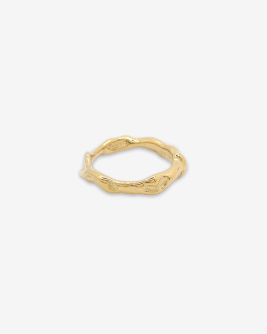 Anillo Flow