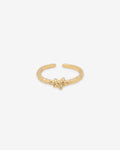 Polaris Ring